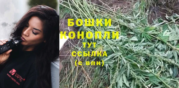 крисы Вязьма